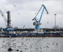 مناطق آزاد ایران هنوز با استانداردهای جهانی فاصله دارند