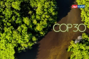 COP30 نقطه عطف سرمایه‌گذاری سبز شد!