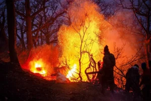 هشدار دادگستری مازندران درباره پیگرد مسئولان در حادثه آتش‌سوزی الیت