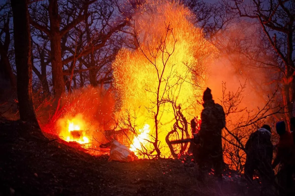 هشدار دادگستری مازندران درباره پیگرد مسئولان در حادثه آتش‌سوزی الیت