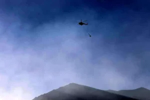 چرا جنگل ها آتش گرفت؟