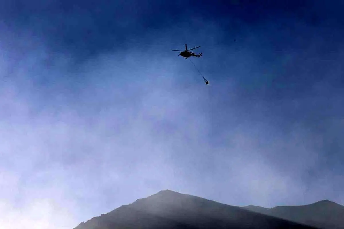 چرا جنگل ها آتش گرفت؟