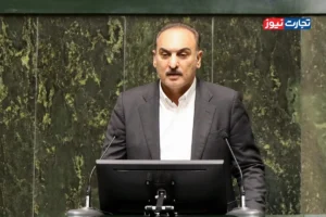 دولت باید وقت و انرژی خود در بخش برق را صرف کاهش اتلاف شبکه کند