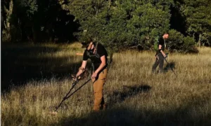 بالا رفتن تب اکتشاف طلا در کالیفرنیا همزمان با افزایش سرسام‌آور قیمت‌ آن