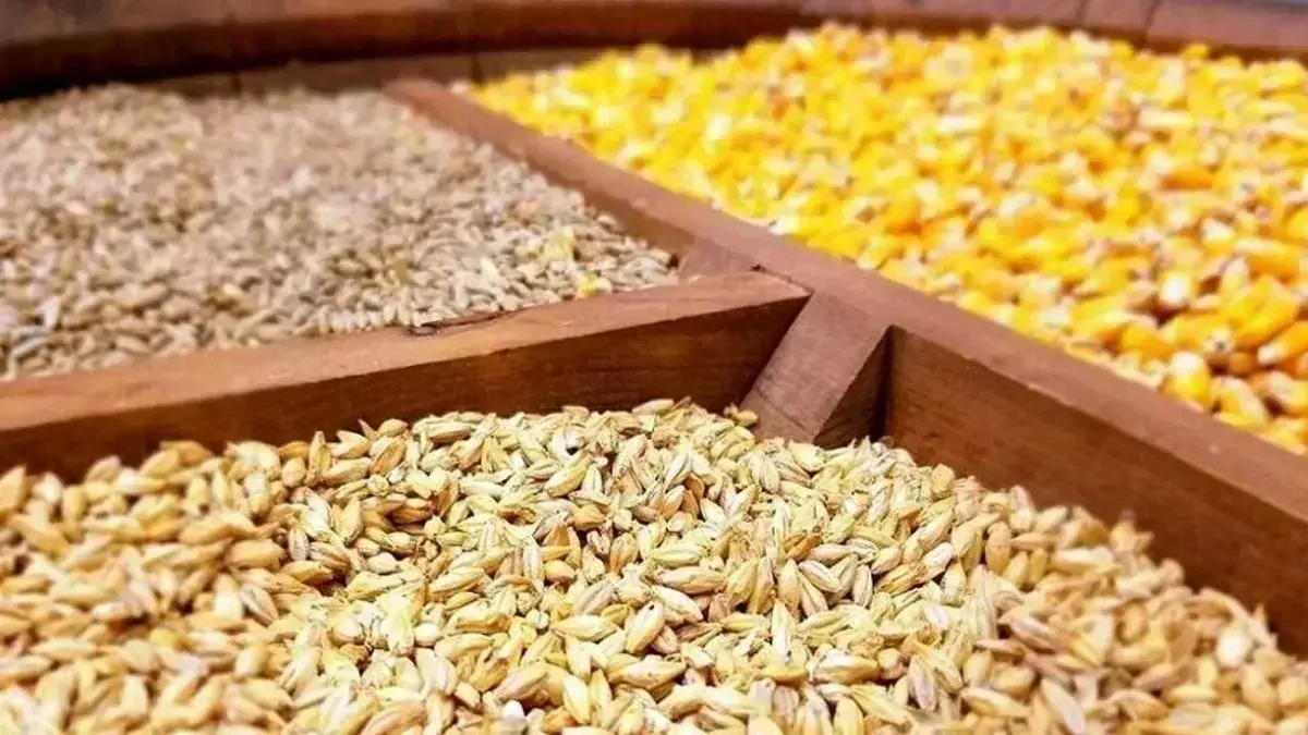 سهمیه دی ماه نهاده های دامی به زودی در بازارگاه بارگذاری می‌شود