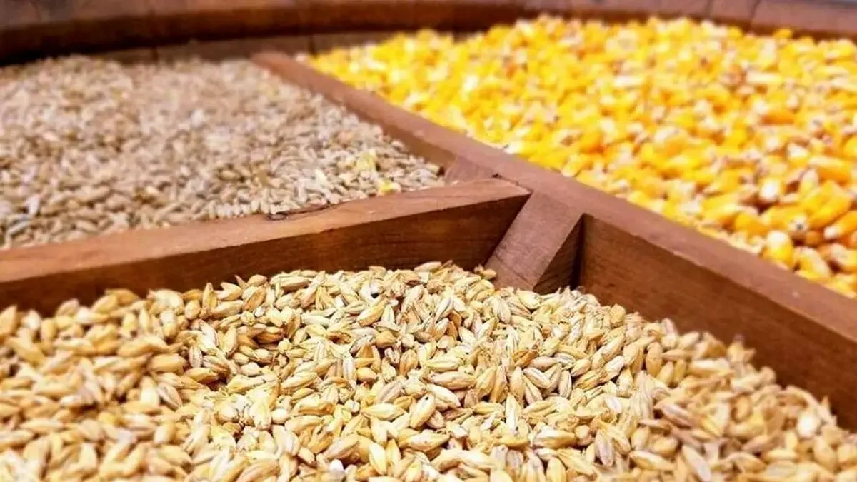 واگذاری مسئولیت نظارت و توزیع نهاده‌های دامی به شرکت پشتیبانی امور دام