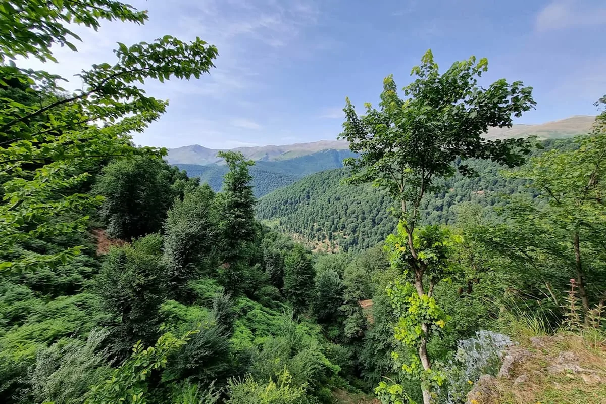 ممنوعیت ورود به جنگل‌های هیرکانی، زاگرس و ارسباران تا بارش مؤثر