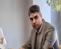 مدیرعامل جدید پرسپولیس معرفی شد
