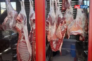 قیمت گوشت قرمز امروز 14 آبان 1404 + جدول