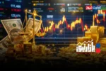 بازارنیوز | سرکشی بازارها  + ویدئو