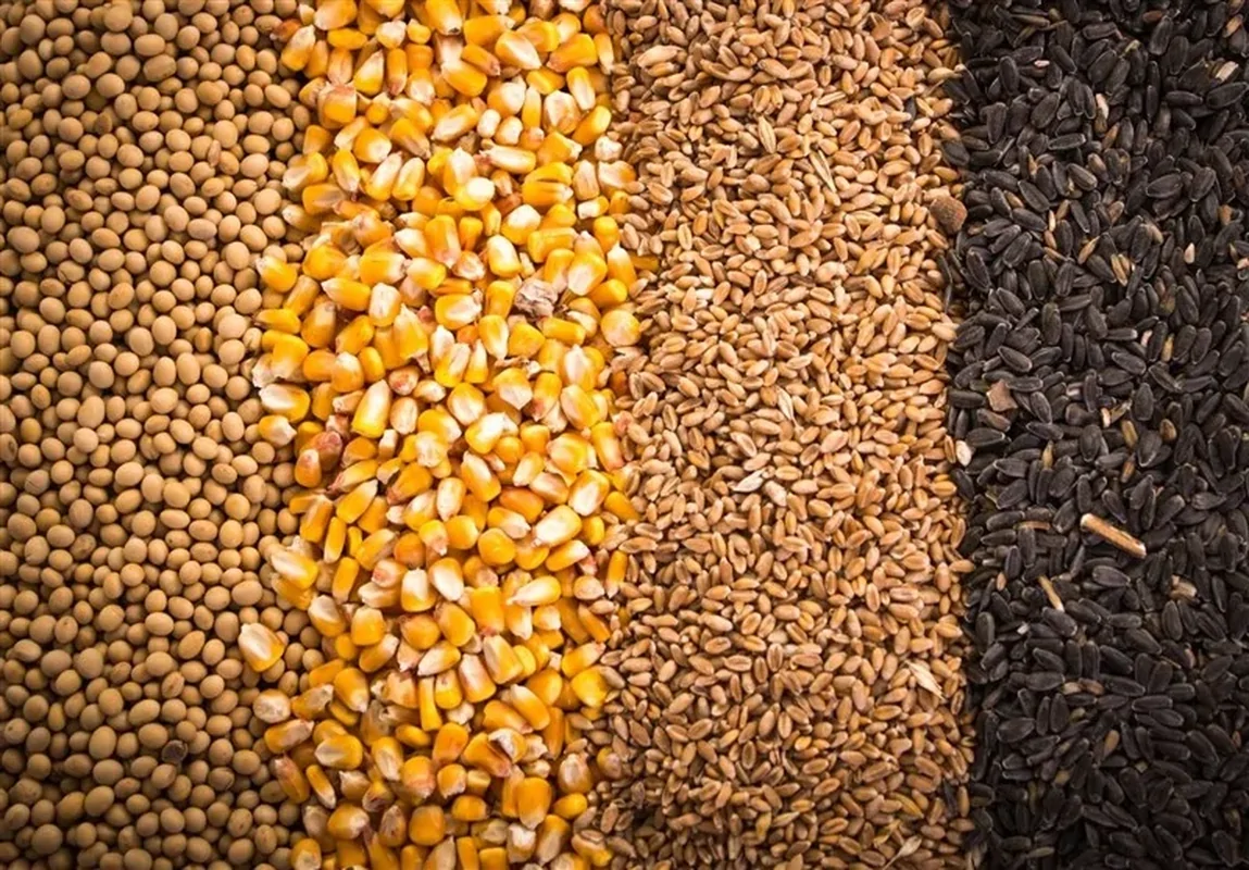 تخلیه و بارگیری نهاده های دامی آغاز شد