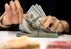 صدور کارت بازرگانی بدون پشتوانه فعالیت تجاری اولین مشکل بازار ارز است