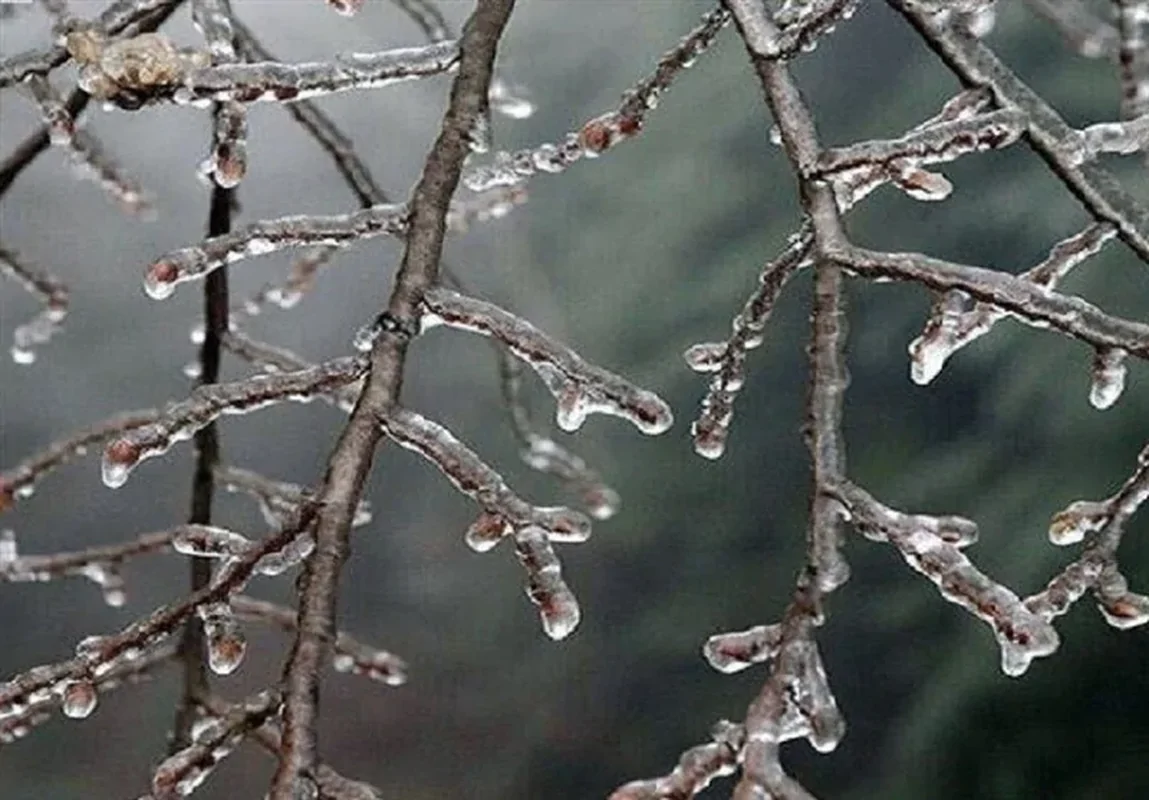 هشدار نارنجی هواشناسی؛ گلستان فردا یخ می‌زند