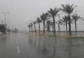 ثبت 60 میلیمتر بارش باران در شمال استان بوشهر