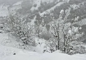 رکورد بارش برف در فریزهند نطنز