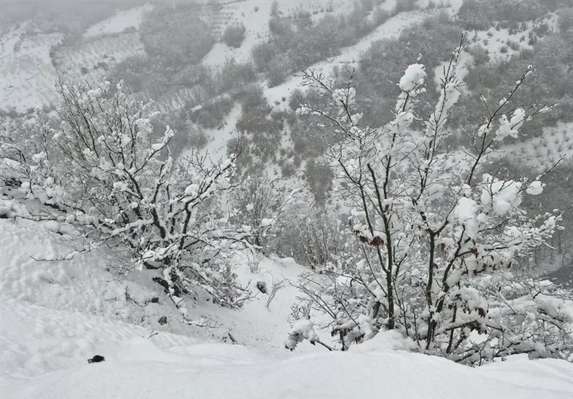 رکورد بارش برف در فریزهند نطنز