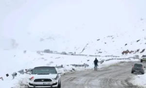 جاده کندوان برفی و لغزنده شد