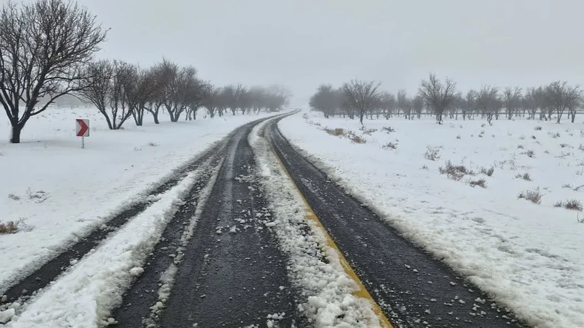 ۳ روستای راین در پی بارش برف و باران تخلیه شد