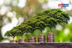 رشد اقتصاد سبز در جهان؛ بازار مشاوره محیط‌زیست و پایداری به ۵۸.۸ میلیارد دلار رسید