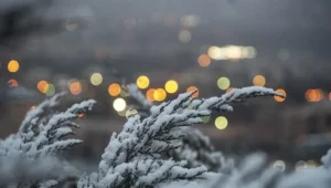 خسارت به محصولات کشاورزی با تشدید بارش‌ها