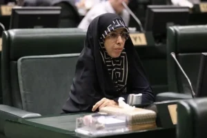 نماینده مجلس: حذف بودجه فرهنگی راه‌حل کسری بودجه نیست