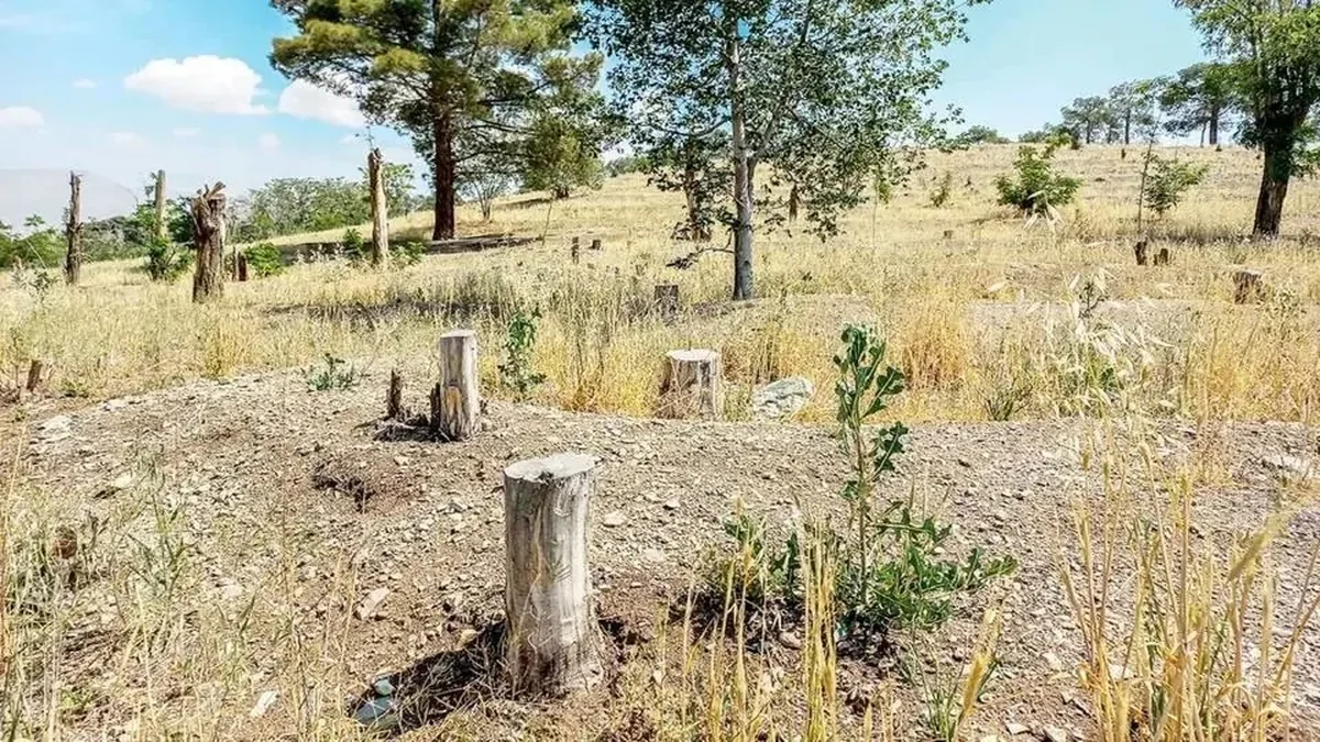 کاغذ مصرف می کنیم که کتاب درسی چاپ شود؛ این یعنی نابودی جنگلهای هیرکانی