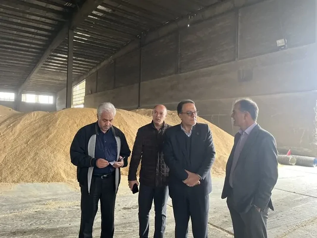 آغاز ورود نهاده‌های دامی به استان مرکزی