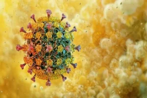 پنجمین فوتی قطعی ناشی از آنفلوآنزا در هرمزگان ثبت شد