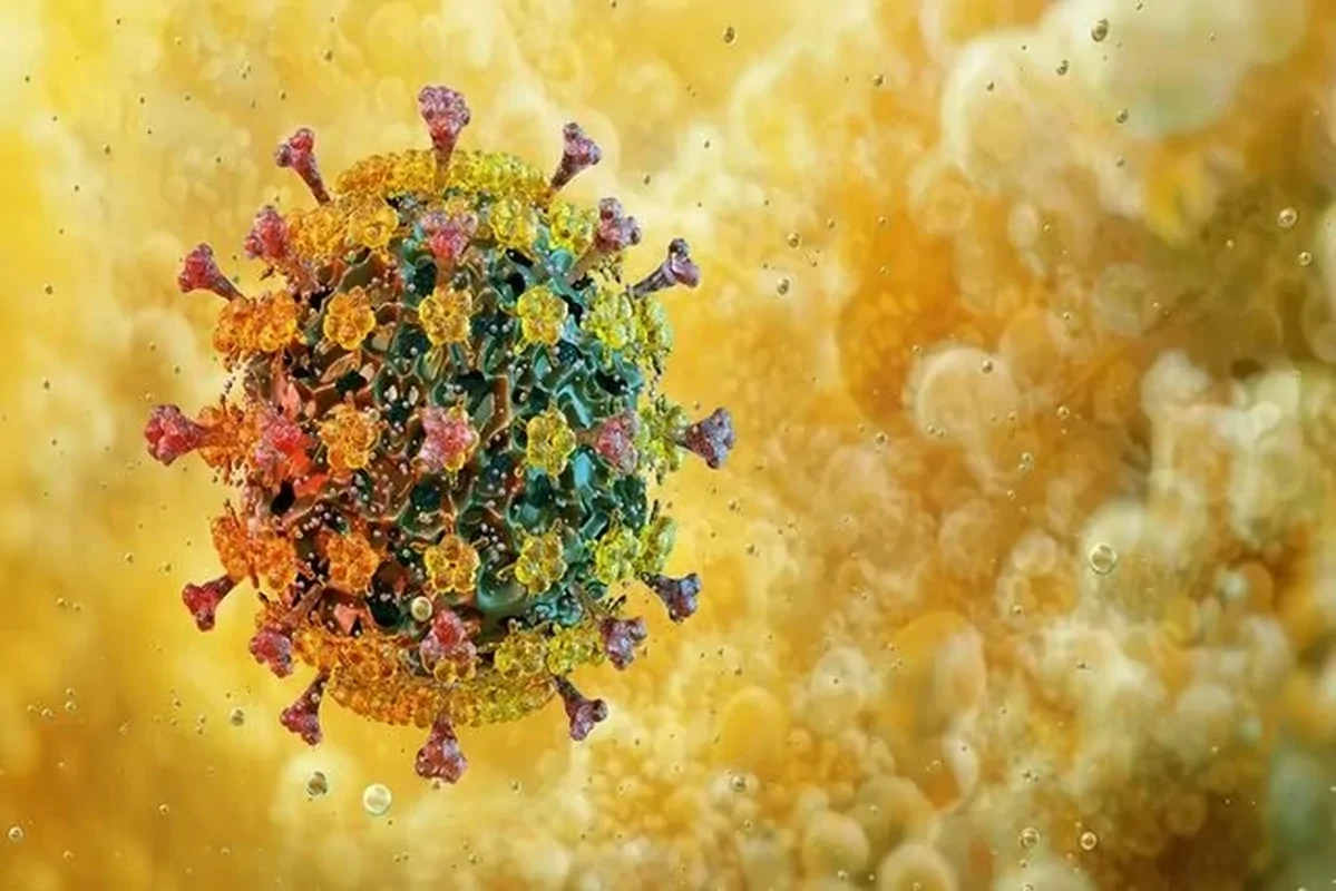 پنجمین فوتی قطعی ناشی از آنفلوآنزا در هرمزگان ثبت شد