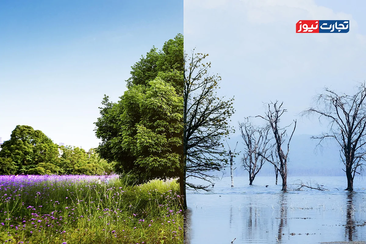 از اقیانوس آرام تا ایران: چگونه پدیده ال‌نینو الگوهای آب‌وهوایی را در هم می‌ریزد؟