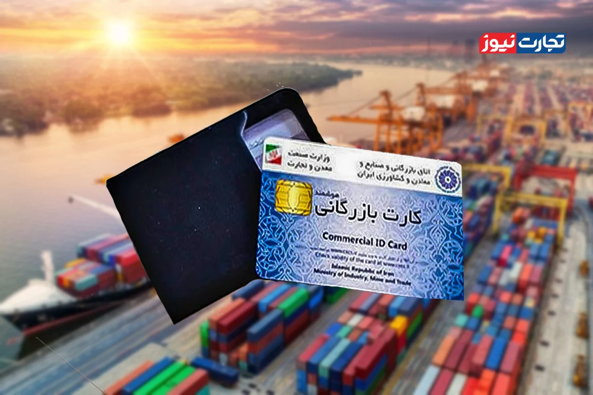 صدور کارت بازرگانی باید حذف شود / کارت‌های بازرگانی هیچ توسعه‌ای برای اقتصاد نداشته‌اند