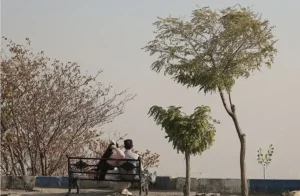 تصمیم‌های دودآلودتر از هوای تهران؛ طرح زوج‌وفرد چگونه یک‌شبه اعلام و لغو شد؟