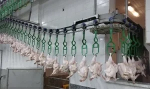 هر کیلو گرم گوشت مرغ ۱۶۸ هزار تومان شد+جدول قیمت کالاهای اساسی