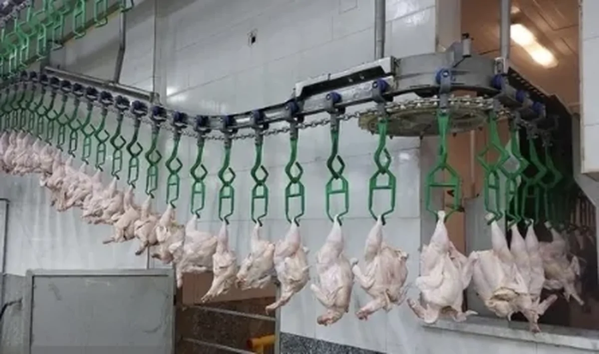 هر کیلو گرم گوشت مرغ ۱۶۸ هزار تومان شد+جدول قیمت کالاهای اساسی