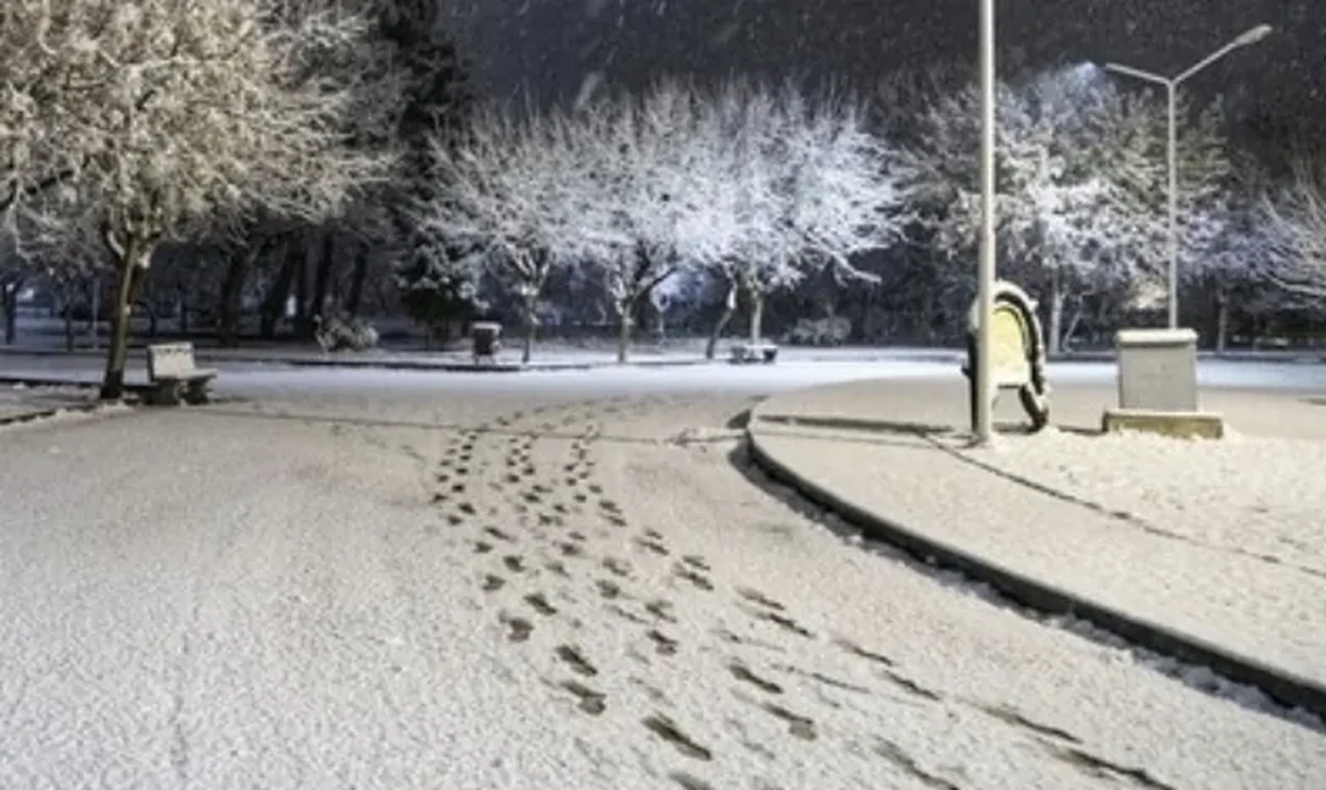 تهران از یکشنبه برفی و بارانی می شود