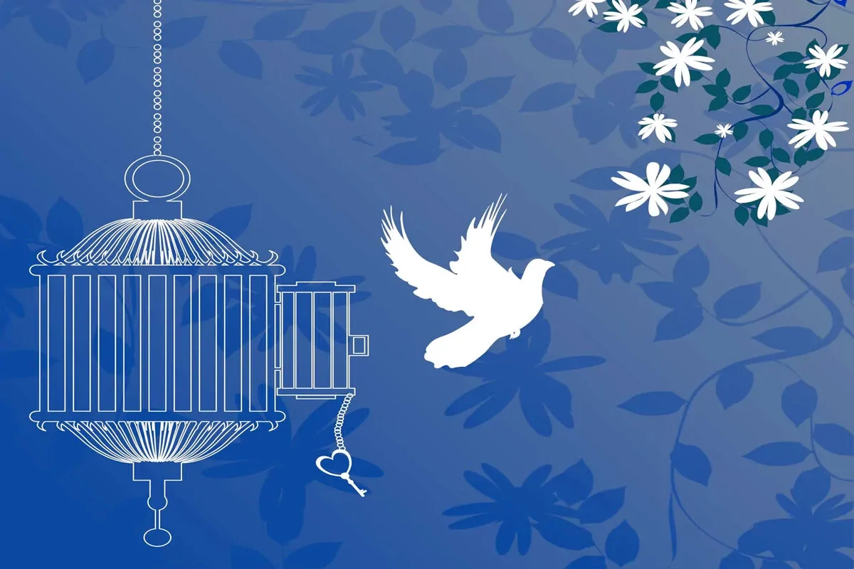 آزادی تمامی مادران زندانی جرائم مالی غیرعمد تا سقف 250 میلیون تومان به همت بانک پارسیان