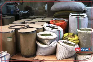 گرانی ناشی از حذف ارز ترجیحی در بودجه 1405 با یارانه و کالابرگ حل نمی‌شود