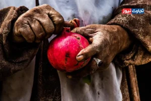 یلدا در تقاطع دستمزد و تورم / آیینی که به نماد تبعیض بدل شده است