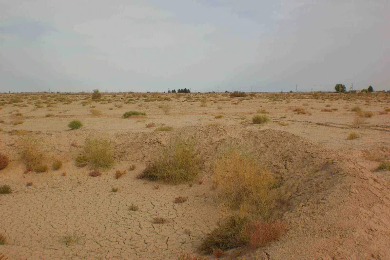 بیابان زایی