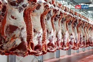 قیمت گوشت قرمز امروز شنبه ۱۱ مهر ۱۴۰۵ + جدول