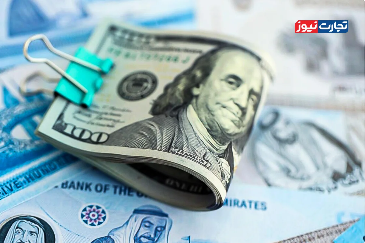 وابستگی به درهم امارات تهدید محسوب می‌شود / ایران باید یوآن، روبل، لیر ترکیه یا دینار عراق را جایگزین درهم امارات کند