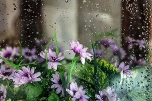 رگبار باران و رعد و برق در ۱۸ استان