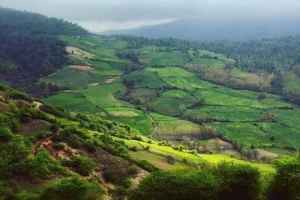 هوای مازندران تا پایان هفته پایدار است