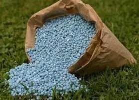 صادرات کود شیمیایی روسیه به ایالات متحده به بالاترین حد خود در تاریخ رسید