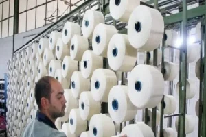 حمایت هدفمند از تولیدکنندگان آسیب‌دیده در دستور کار