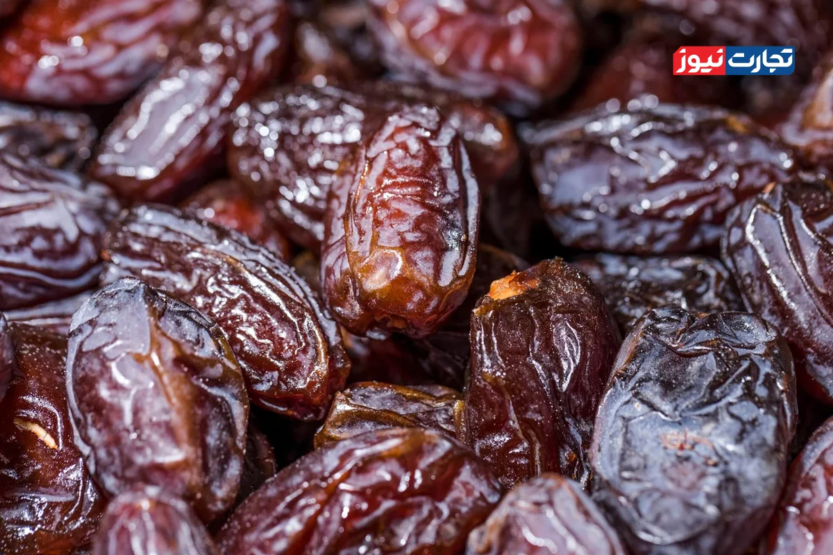 دو ماه ممنوعیت صادرات خرما در بازار اختلال ایجاد کرد / ممنوعیت صادرات رفع شده اما خرما روی دست کشاورزان مانده است