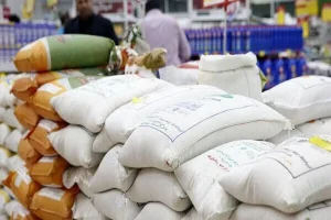 واردات برنج نامرغوب ممنوع شد