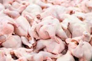 توزیع ماهانه ۲۱۰ هزار تن مرغ در کشور / گرمای هوا قیمت مرغ را کاهش داد