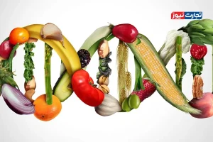اینفوگرافی | نگاهی به محصولات تراریخته