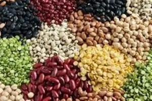 تامین حبوبات هیئت‌ها و خانوارها در محرم بدون مشکل انجام می‌شود